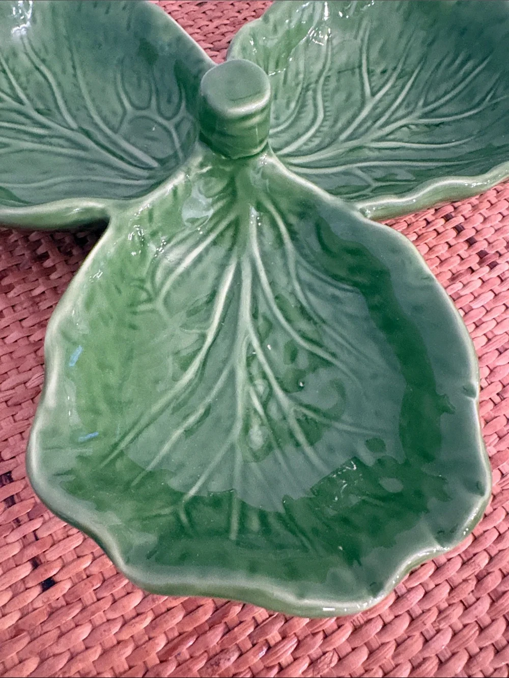 Viva green stylish cabbage